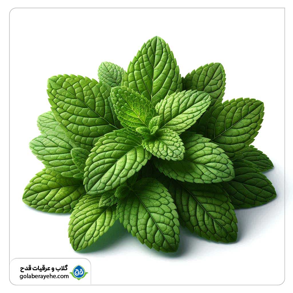 خواص عرق پونه خواص عرق پونه